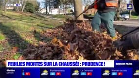 Malakoff: les services d'entretien retirent les feuilles mortes des chemins