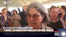 "Alcatraz des alligators": la Floride fait construire une prison pour migrants au milieu des marécages