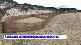 Le nouveau dispositif testé par Wissant pour tenter de protéger la dune de l'érosion: des piquets et des filets censés retenir le sable