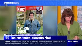 Affaire Alain Delon: pourquoi l'état de santé de l'acteur déchire sa famille