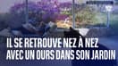 Il se retrouve nez à nez avec un ours dans son jardin