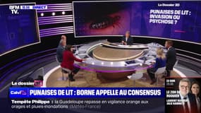 Punaise de lit : Borne appelle au consensus - 03/10