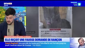 Fréjus: une habitante reçoit une fausse demande de rançon après la disparition de son chat