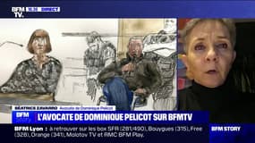Viols de Mazan: la condamnation de Dominique Pelicot "est définitive", confirme son avocate, Béatrice Zavarro