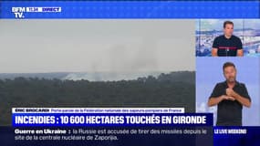 Incendies en Gironde : 16 000 hectares touchés - 17/07