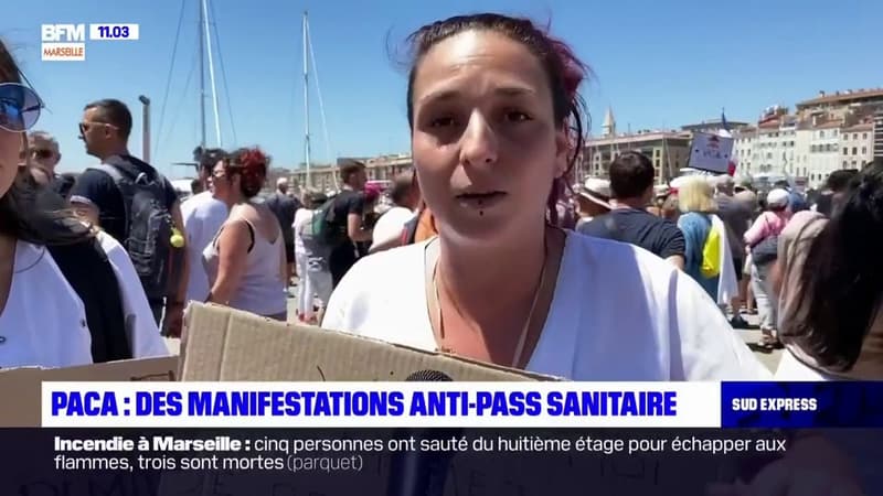 Provence-Alpes-Côte d'Azur: manifestations contre l ...