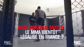 Le MMA bientôt légalisé en France ?