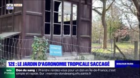 Paris: le jardin d'agronomie tropicale laissé à l'abandon?