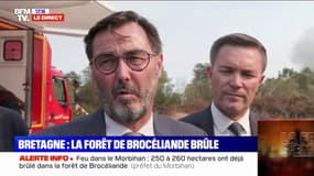 "Plus de 320 sapeurs-pompiers et 120 véhicules" engagés sur l'incendie de la forêt de Brocéliande