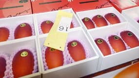 Un lot de deux mangues vendu aux enchères pour 300.000 yens (2.500 dollars) sur le marché Miyazaki au Japon le 13 avril 2015