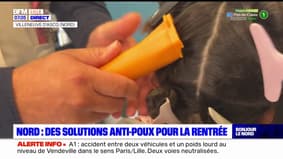 Nord: des solutions anti-poux pour la rentrée