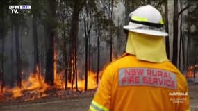 Face aux incendies en Australie, les pompiers bénévoles sont en première ligne