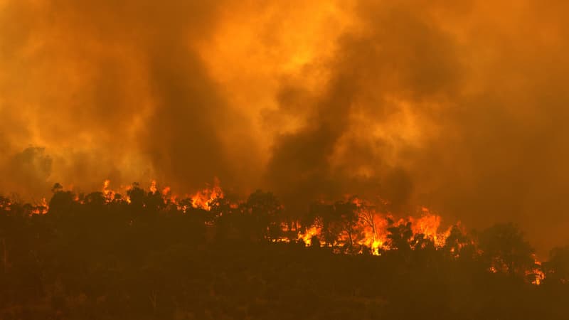 Un incendie provoqué par des vents violents brûle sur une crête, dans la banlieue de Brigadoon, à Perth, le 2 février 2021.