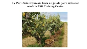 Le jus de poire spécial PSG