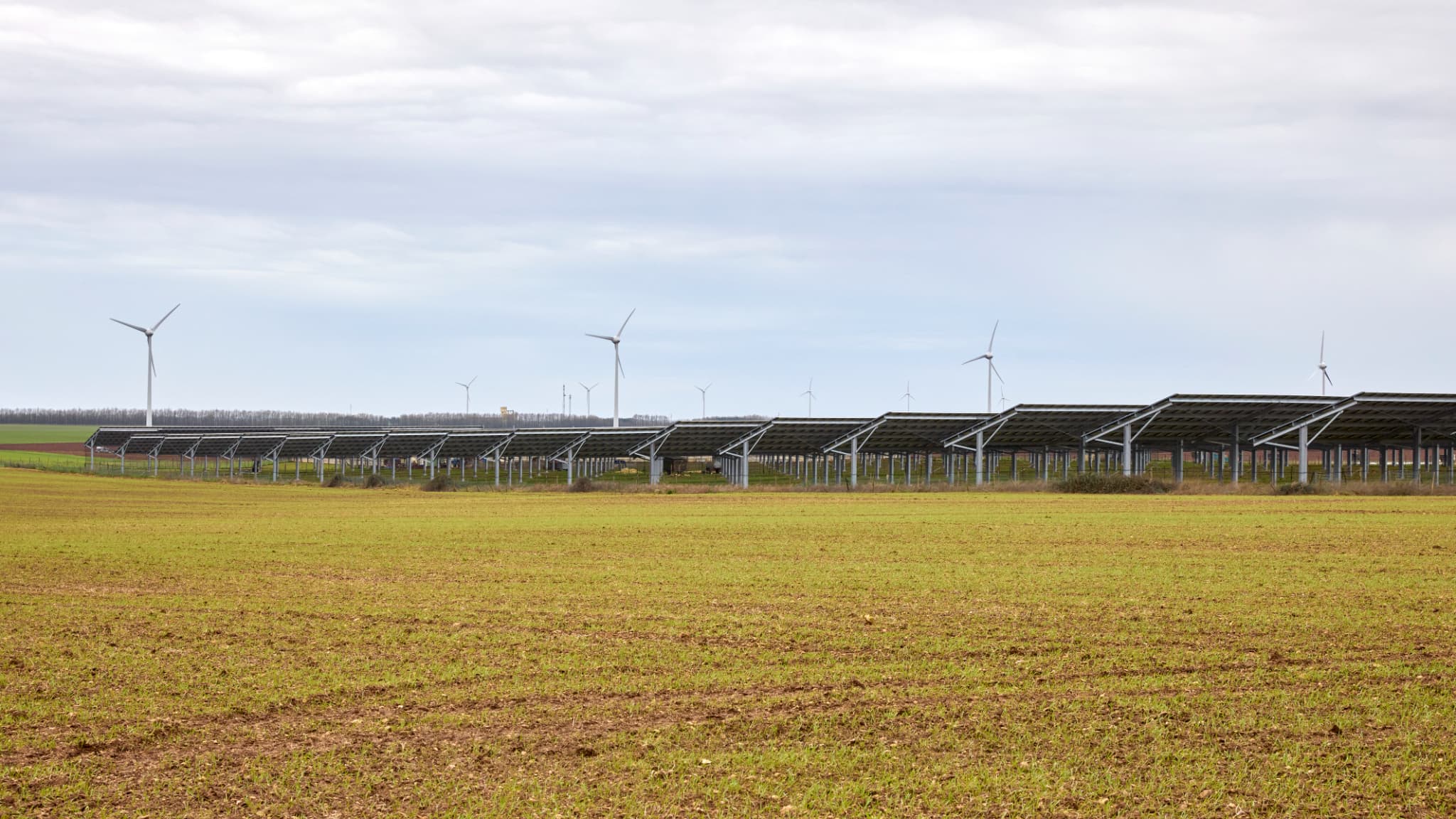 "Agriculture du futur" ou "bulle" incontrôlée? L'agrivoltaïsme suscite des interrogations