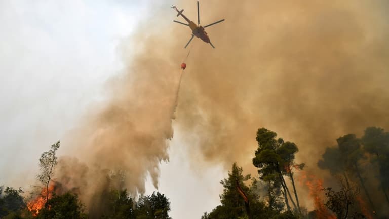 Un hélicoptère largue de l'eau sur un incendie de forêt, le 5 août 2021 près du village de Kechries (Grèce)