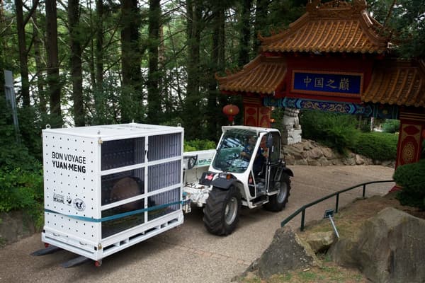 La caisse de transport de Yuan Meng, le premier bébé panda né en France, au zoo de Beauval, le 25 juillet 2023.