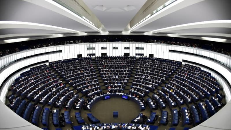 Les députés du Parlement européen en session plénière à Strasbourg le 13 février 2019.