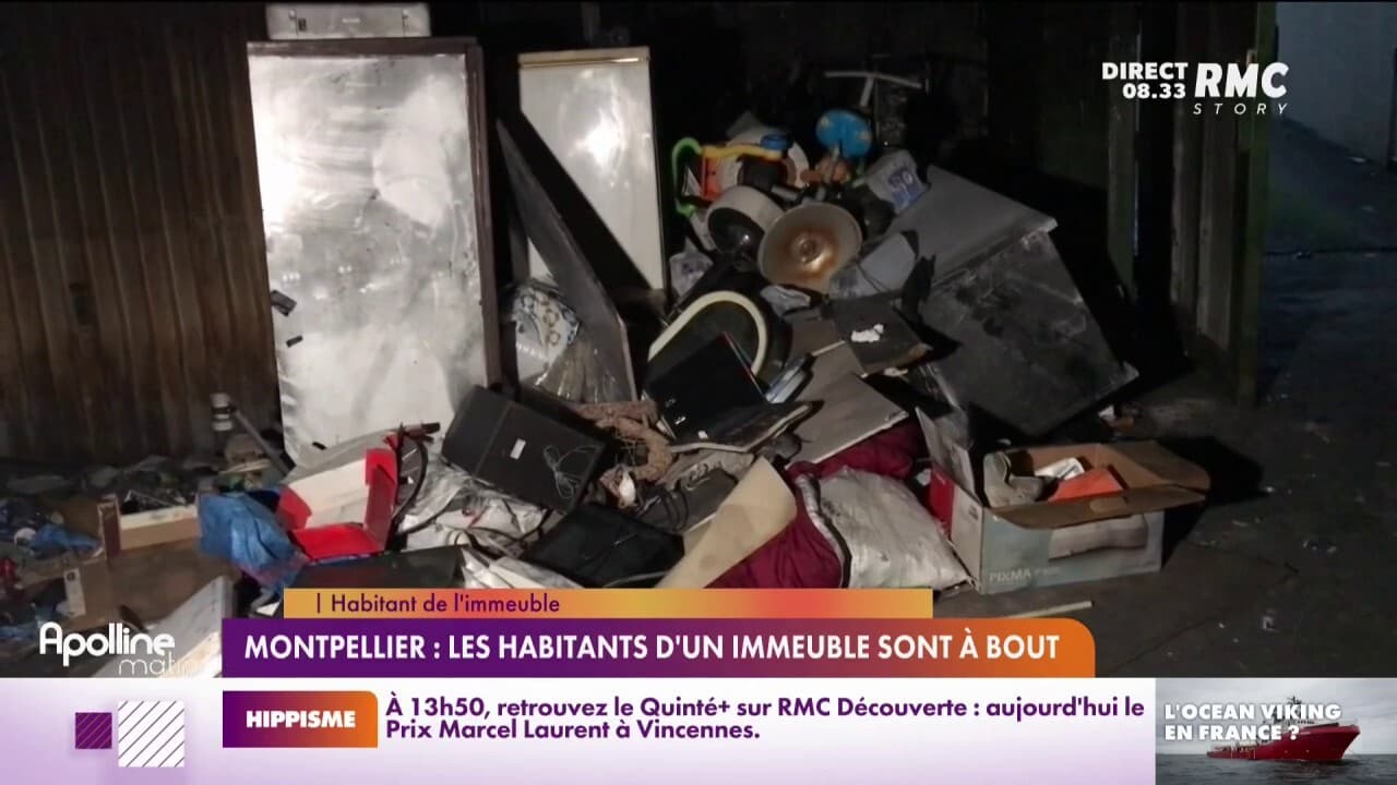 Montpellier les habitants d