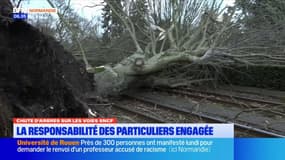 Chute d'arbres sur les voies SNCF en Normandie: la responsabilité des particuliers engagée