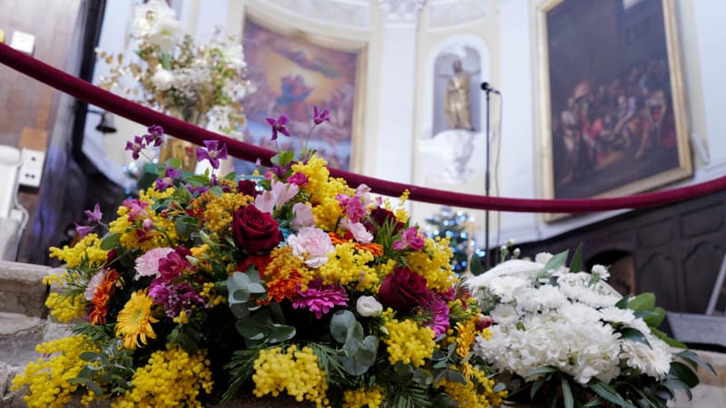 Brigitte Bardot au Panthéon? "C'est une hérésie populaire"