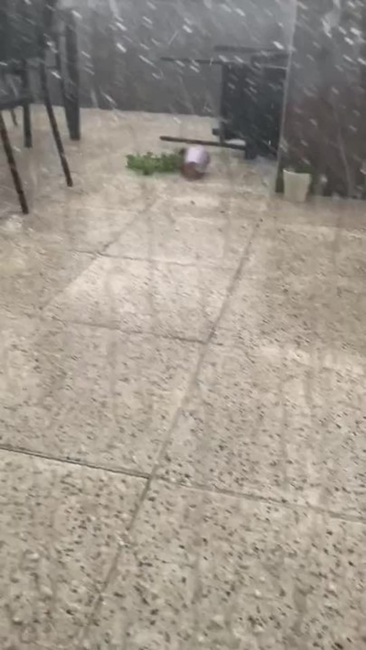 placeholder video