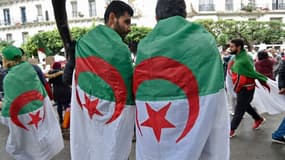 Des manifestants algériens couverts du drapeau du pays, au centre d'Alger, le 8 novembre 2019