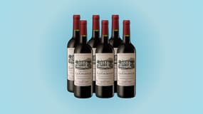 Quelques euros seulement pour ce lot de 6 bouteilles de vin rouge sur ce site bien connu