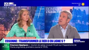 Essonne: des élus plaident pour transformer le RER D en ligne S