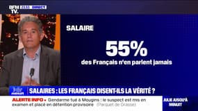 Salaires : les Français disent-ils la vérité ? - 28/08