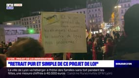 Lyon: près de 300 personnes ont manifesté contre le projet de loi immigration