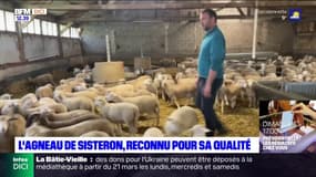 Le label rouge "Agneau de Sisteron" reconnu pour sa qualité 