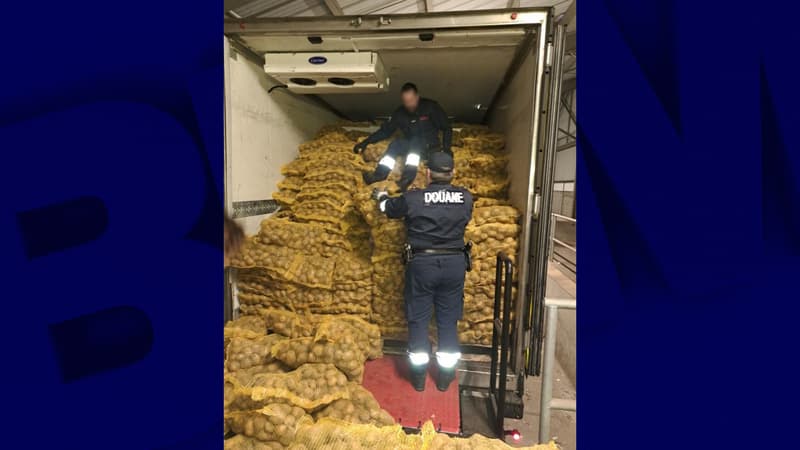 Plus de 8 tonnes de tabac de contrebande saisies par les douaniers dans un camion chargé de pommes de terre à Cherbourg-en-Cotentin