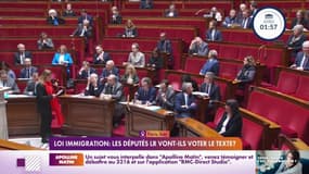 Loi immigration: Les députés LR vont-ils voter le texte ?