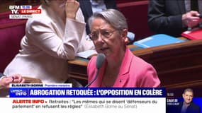 Élisabeth Borne: "Lorsque que le résultat d'un vote déplaît à la Nupes, elle n'a qu'une seule réponse: l'obstruction"