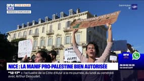 Nice: la manifestation en soutien à la Palestine bien autorisée