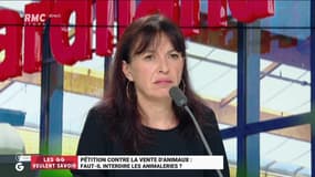 Les GG veulent savoir : Faut-il interdire les animaleries ? - 09/08
