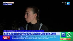 Saint-Victoret: une cagnotte pour réhabiliter 7 hectares de friche en maraîchage