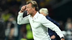 Hervé Renard demande à ses joueuses d'utiliser leur tête pendant le Mondial 2023
