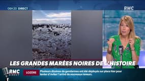 L'Île Maurice ravagée par 4000 tonnes de pétrole: retour sur les grandes marées noires de l'Histoire