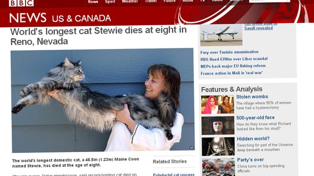 Stewie Le Chat Le Plus Long Du Monde Est Mort Stewie Le Chat Le Plus Long Du Monde Est Mort