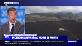 Story 9 : Incendies à Hawaï, au moins 55 morts - 11/08