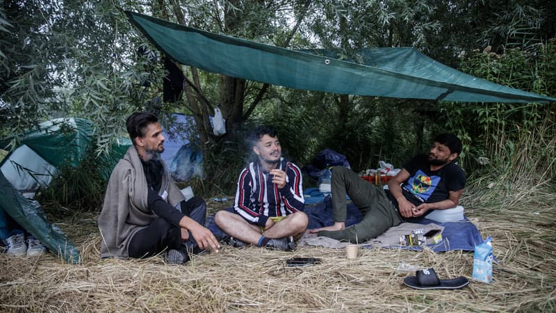 Migrants afghans à Calais.