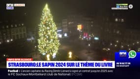 Strasbourg: la décoration du grand sapin de Noël en 2024 aura pour thème le livre