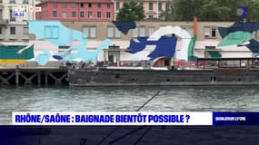 La baignade bientôt possible dans le Rhône et la Saône?
