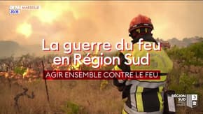 La guerre du feu en Région Sud : agir ensemble contre le feu