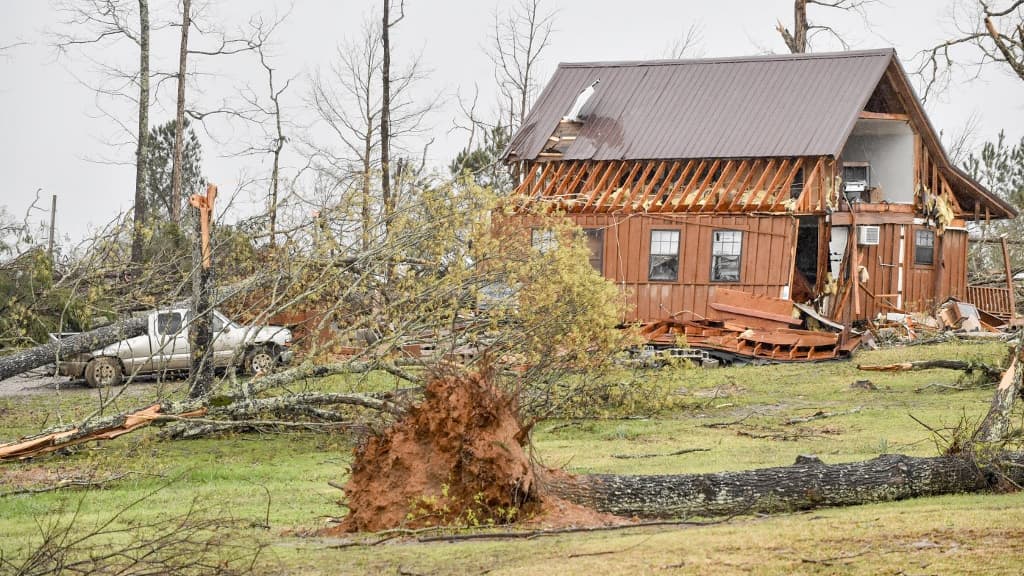 Des arbres abattus et des structures lourdement endommagées par le passage de tornades le 3 avril 2025 à Selmer, Tennessee. 
