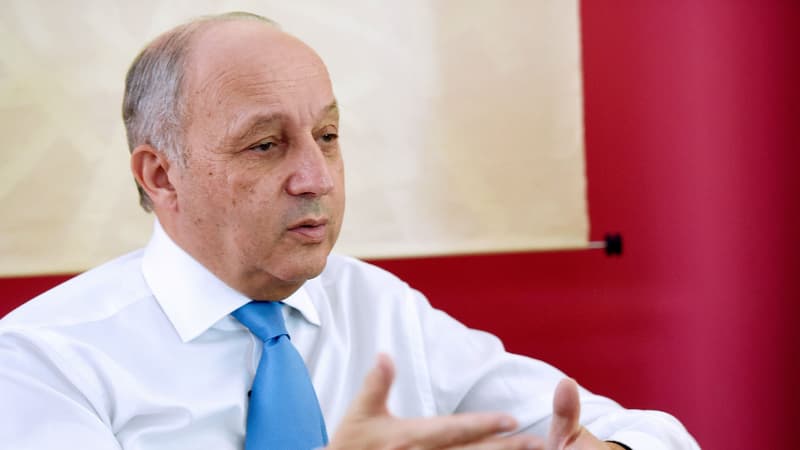 Laurent Fabius a pour la première fois envisagé vendredi d'inclure des forces syriennes dans la lutte contre Daesh.