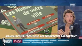 Dupin Quotidien : Mauvais pour l'écologie, les prospectus rapportent - 02/10