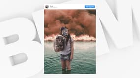 La (fausse) photo d'une fillette et d'un koala a choqué les internautes